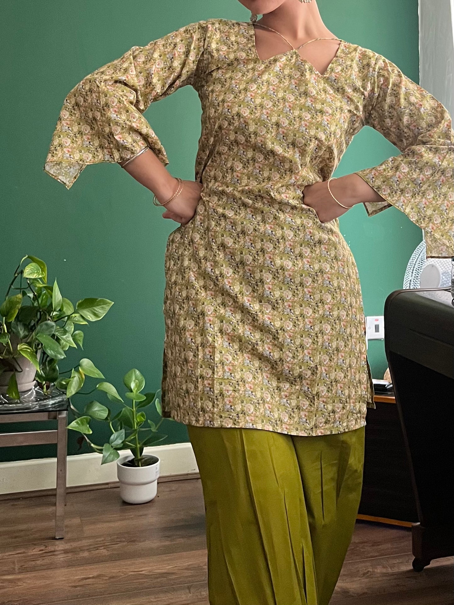 Punjabi Pari