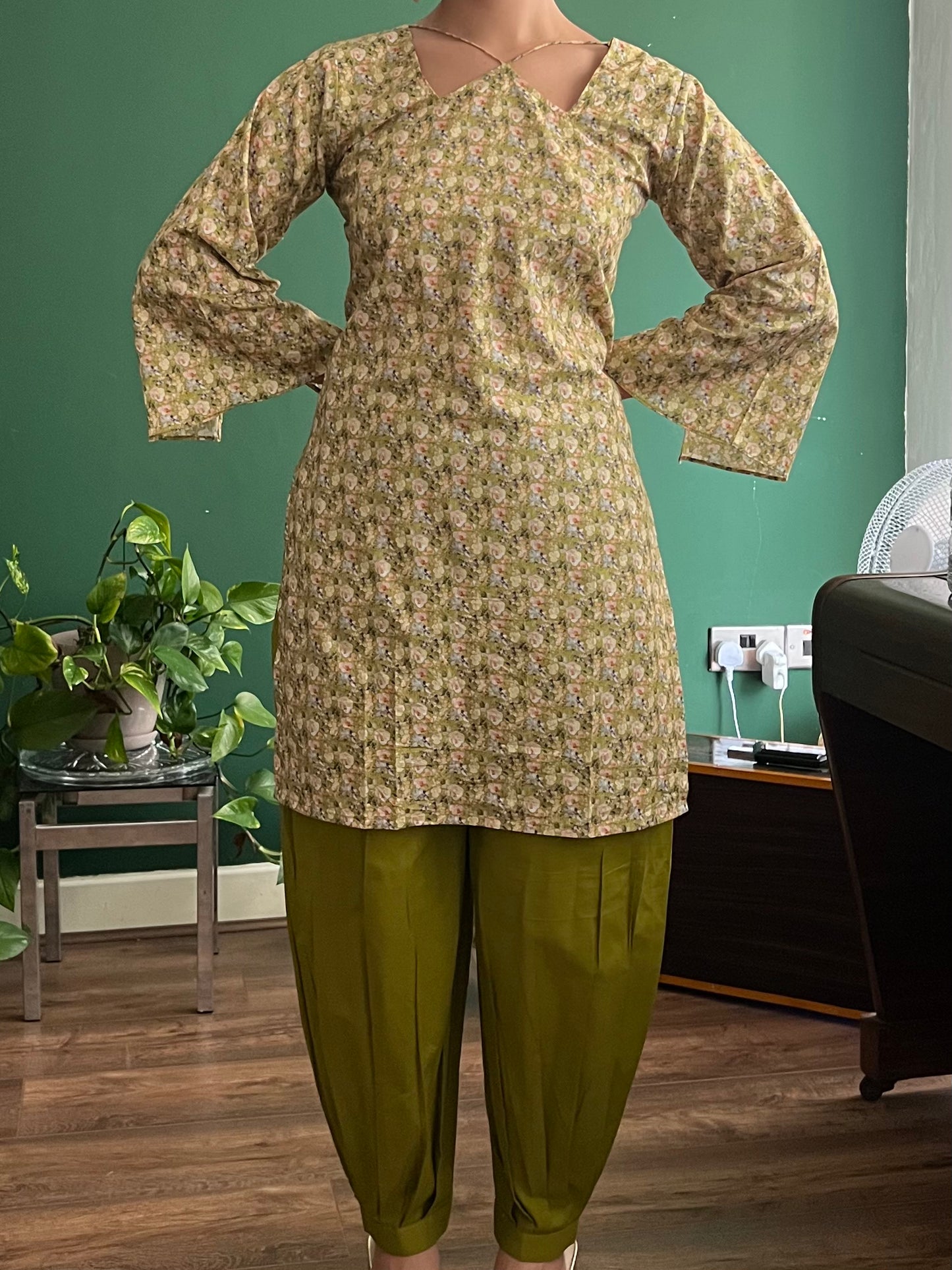 Punjabi Pari